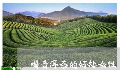 喝普洱茶的好处女性/2023080128482