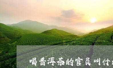 喝普洱茶的官员叫什么/2023063020592