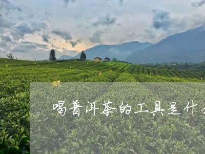 喝普洱茶的工具是什么即溶普洱茶/2023060229406