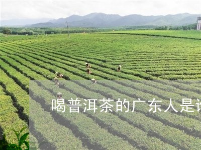 喝普洱茶的广东人是谁啊/2023102459392