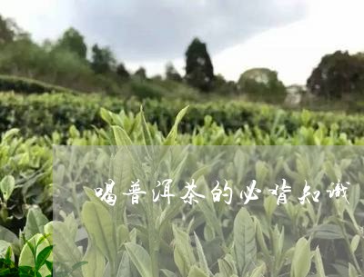 喝普洱茶的必背知识/2023120502814