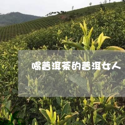 喝普洱茶的普洱女人/2023070973615