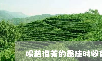 喝普洱茶的最佳时间段/2023092736279