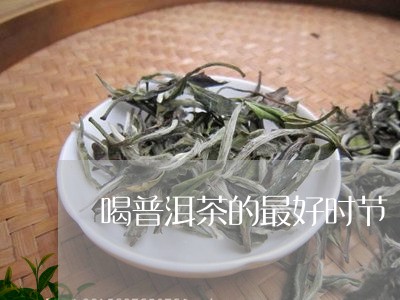 喝普洱茶的最好时节/2023091570472