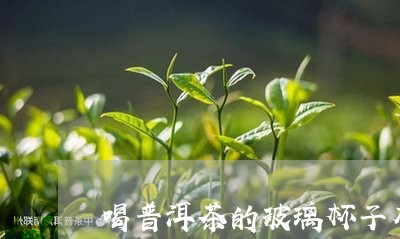 喝普洱茶的玻璃杯子有毒吗/2023112436392