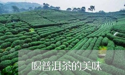 喝普洱茶的美味/2023102608471