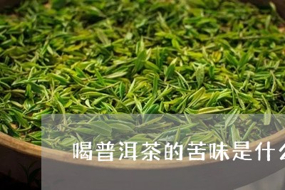 喝普洱茶的苦味是什么味道/2023112507249