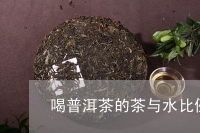 喝普洱茶的茶与水比例/2023062316161