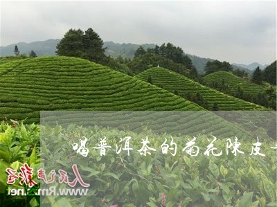 喝普洱茶的菊花陈皮普洱茶的功效/2023060292703