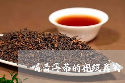 喝普洱茶的视频真实/2023112456958