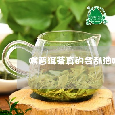 喝普洱茶真的会刮油吗/2023073110384