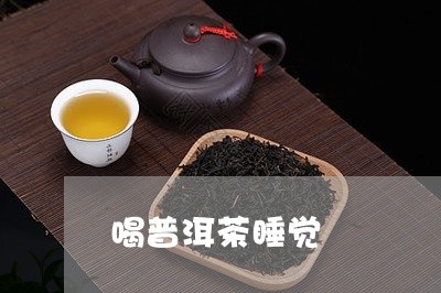 喝普洱茶睡觉/2023042687794