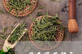 喝普洱茶禁忌/2023042929980