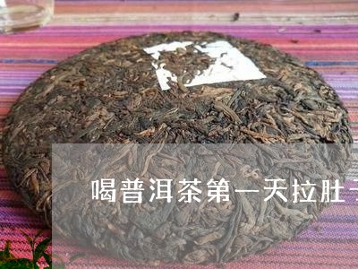 喝普洱茶第一天拉肚子/2023061432583