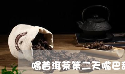 喝普洱茶第二天嘴巴甜/2023120769491