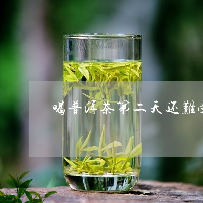 喝普洱茶第二天还难受/2023061453804