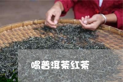 喝普洱茶红茶/2023042739521