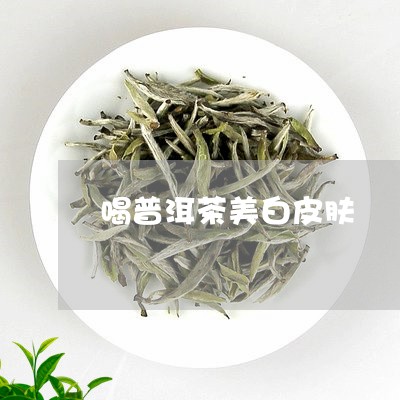 喝普洱茶美白皮肤/2023120495138