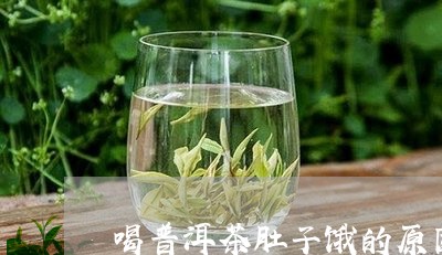 喝普洱茶肚子饿的原因/2023092652835