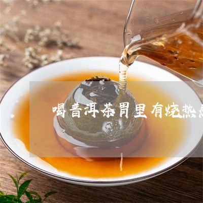 喝普洱茶胃里有烧热感/2023061550605