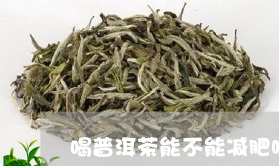 喝普洱茶能不能减肥呢/2023061578382