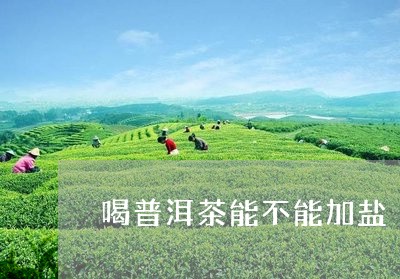 喝普洱茶能不能加盐/2023120544915