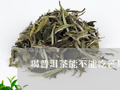 喝普洱茶能不能吃芒果/2023092820593