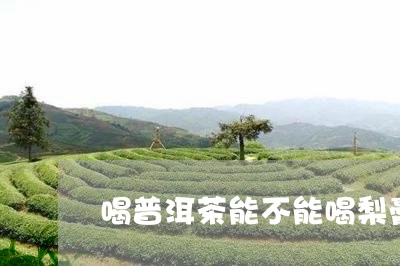 喝普洱茶能不能喝梨膏茶/2023110511715