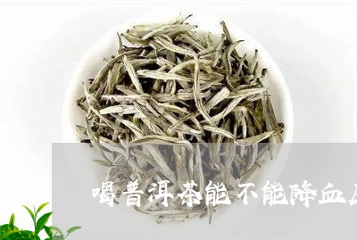 喝普洱茶能不能降血压/2023092642904