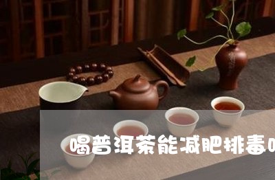 喝普洱茶能减肥排毒吗/2023092804150