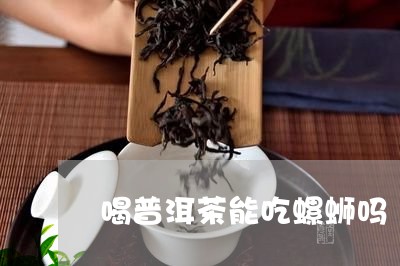 喝普洱茶能吃螺蛳吗/2023120503946