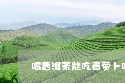 喝普洱茶能吃青萝卜吗/2023092909393