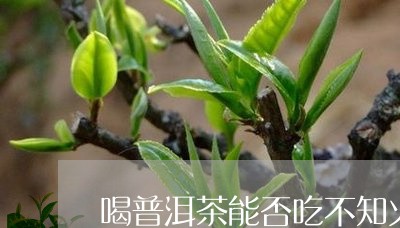 喝普洱茶能否吃不知火/2023062213036