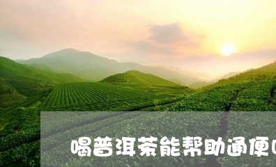 喝普洱茶能帮助通便吗/2023062395582