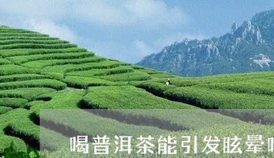 喝普洱茶能引发眩晕吗/2023092914058