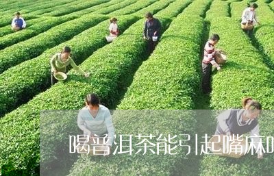 喝普洱茶能引起嘴麻吗/2023061616828