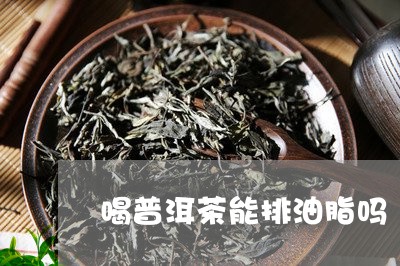 喝普洱茶能排油脂吗/2023112427382