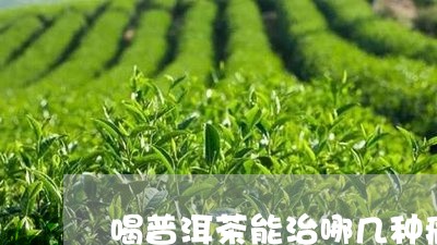 喝普洱茶能治哪几种病/2023092620604