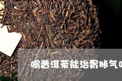 喝普洱茶能治胃胀气吗/2023093018572