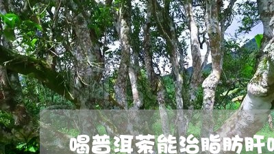 喝普洱茶能治脂肪肝吗/2023061419261