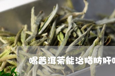 喝普洱茶能治脂肪肝吗/2023092658593