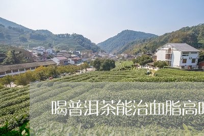 喝普洱茶能治血脂高吗/2023072182735