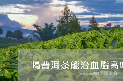 喝普洱茶能治血脂高吗/2023092627358