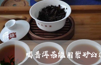 喝普洱茶能用紫砂公道杯嘛/2023112993956