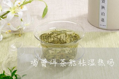 喝普洱茶能祛湿热吗/2023112636837