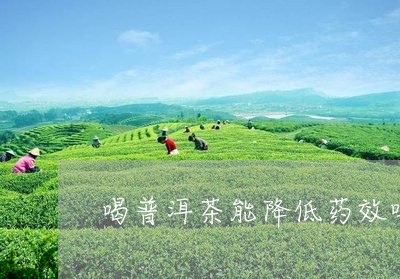 喝普洱茶能降低药效吗/2023093093715