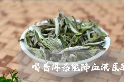 喝普洱茶能降血液尿酸/2023080241706