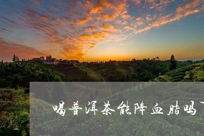 喝普洱茶能降血脂吗百度百科/2023121561827