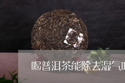 喝普洱茶能除去湿气吗/2023062184946