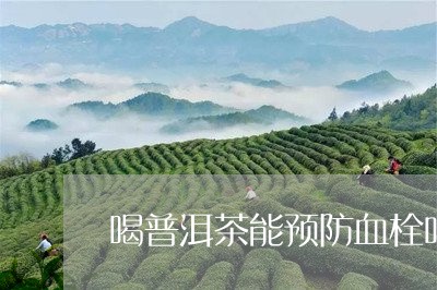 喝普洱茶能预防血栓吗/2023061908368